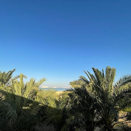 The Nest Ξενοδοχείο Siwa Oasis Εξωτερικό φωτογραφία