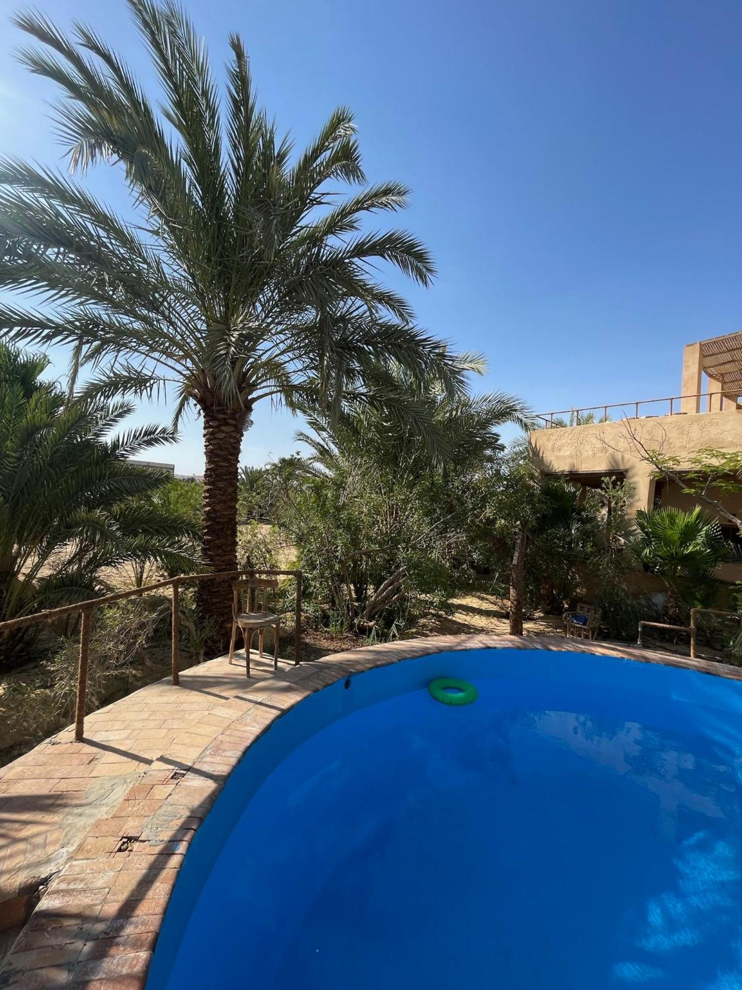 The Nest Ξενοδοχείο Siwa Oasis Εξωτερικό φωτογραφία