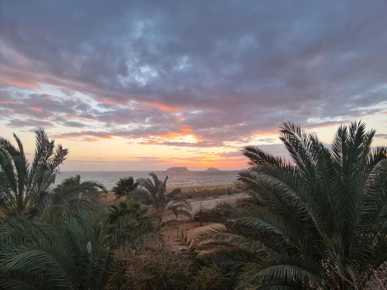 The Nest Ξενοδοχείο Siwa Oasis Εξωτερικό φωτογραφία
