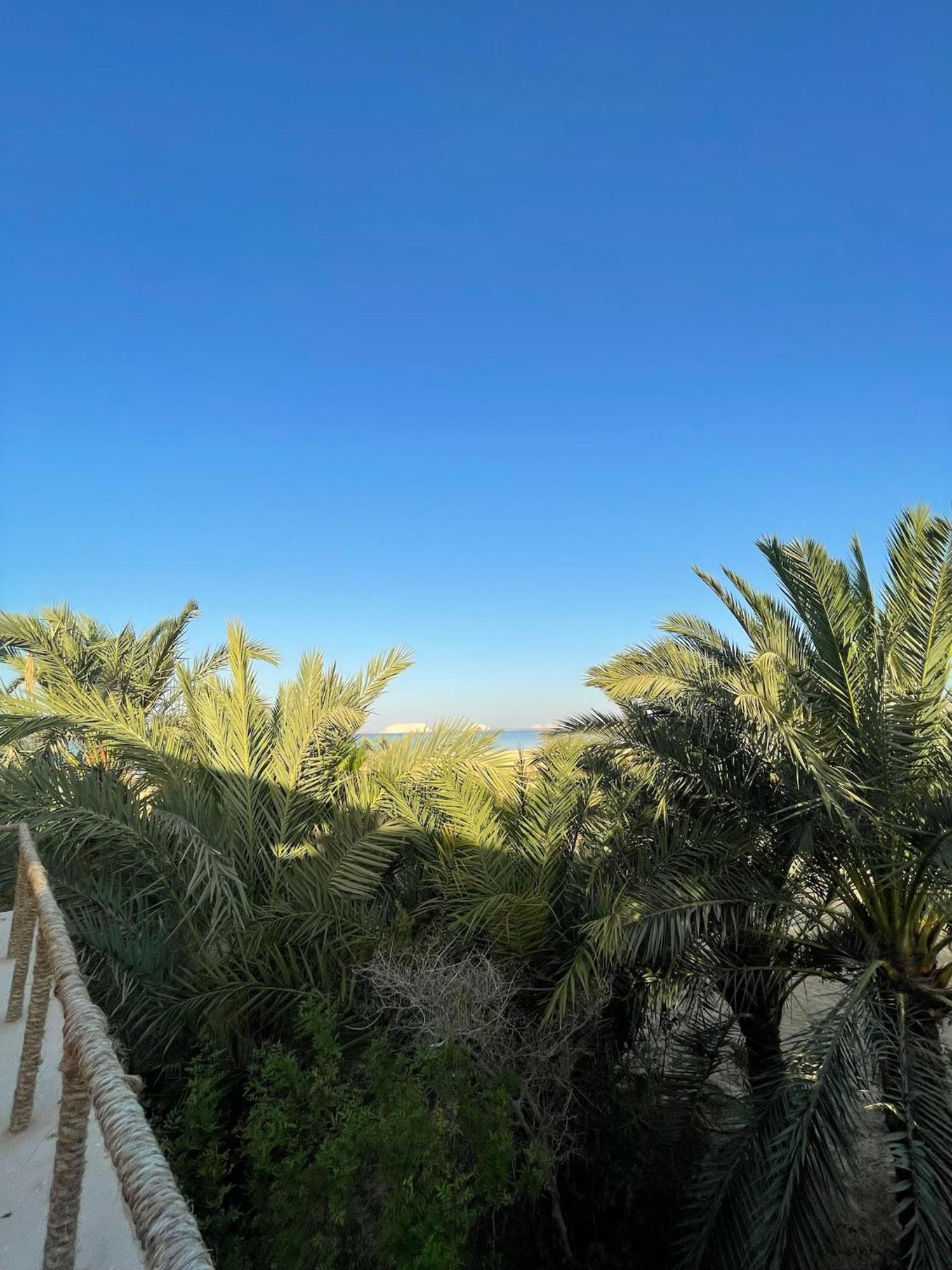 The Nest Ξενοδοχείο Siwa Oasis Εξωτερικό φωτογραφία