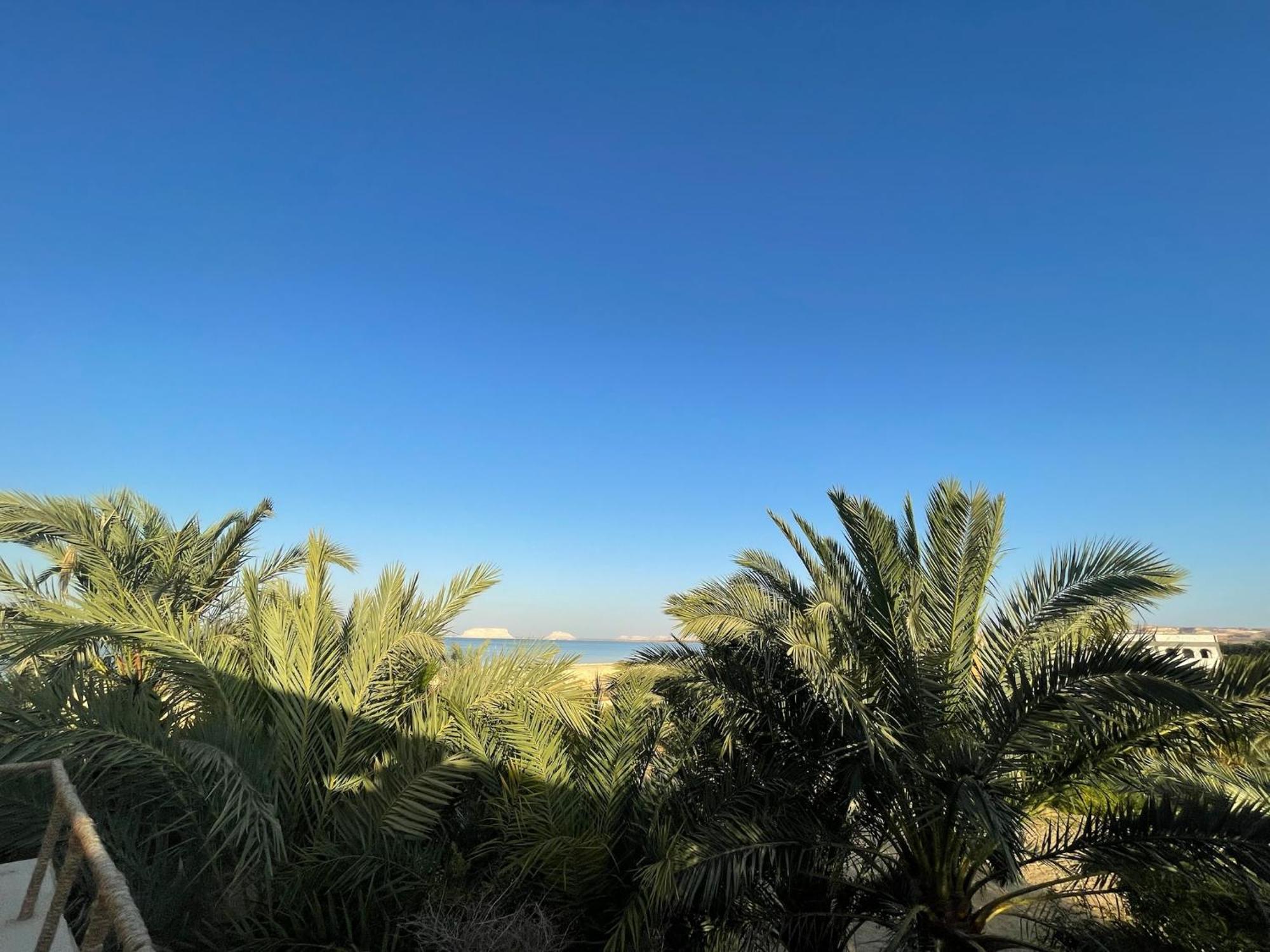 The Nest Ξενοδοχείο Siwa Oasis Εξωτερικό φωτογραφία