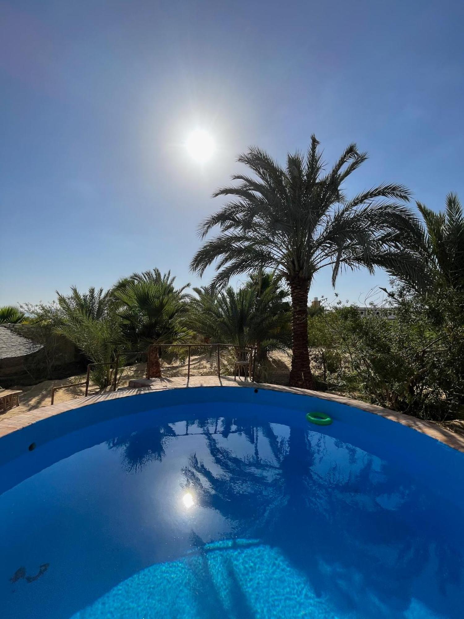 The Nest Ξενοδοχείο Siwa Oasis Εξωτερικό φωτογραφία
