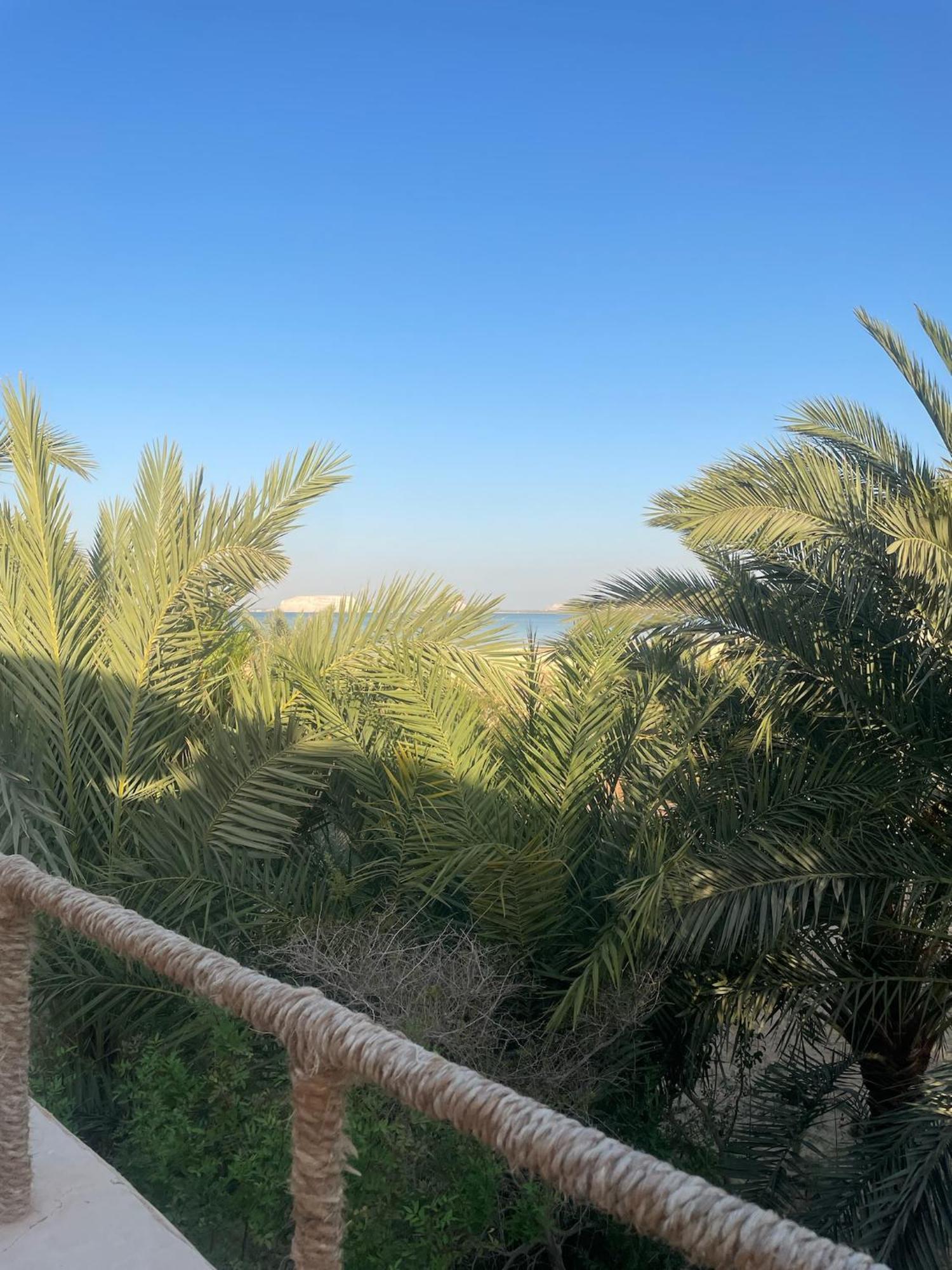 The Nest Ξενοδοχείο Siwa Oasis Εξωτερικό φωτογραφία