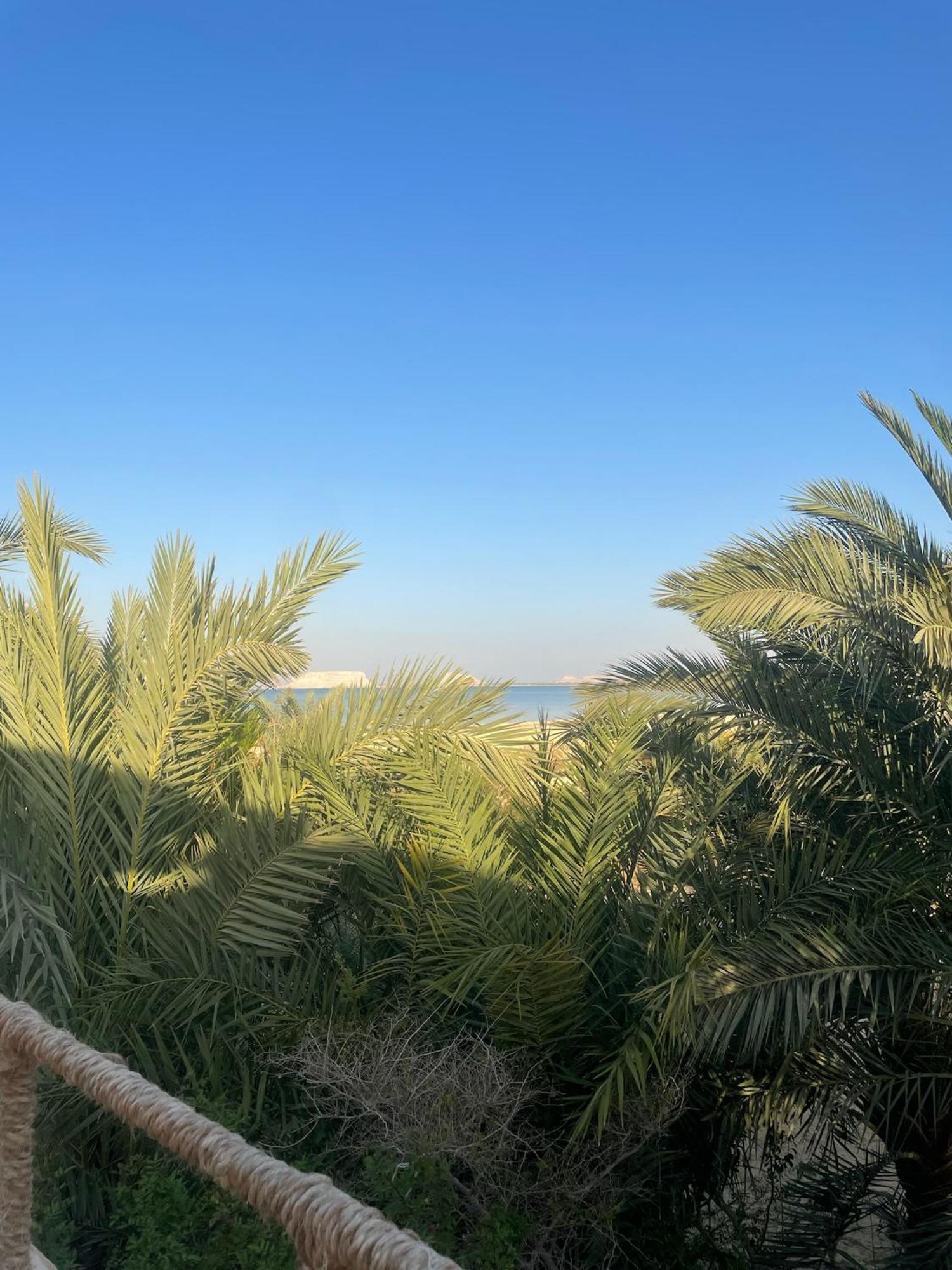 The Nest Ξενοδοχείο Siwa Oasis Εξωτερικό φωτογραφία